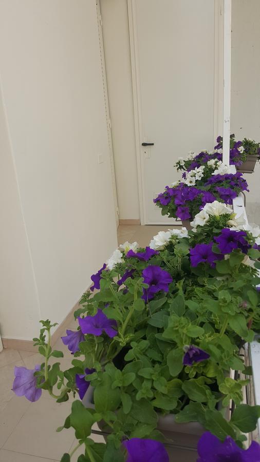 Matera Guest House المظهر الخارجي الصورة