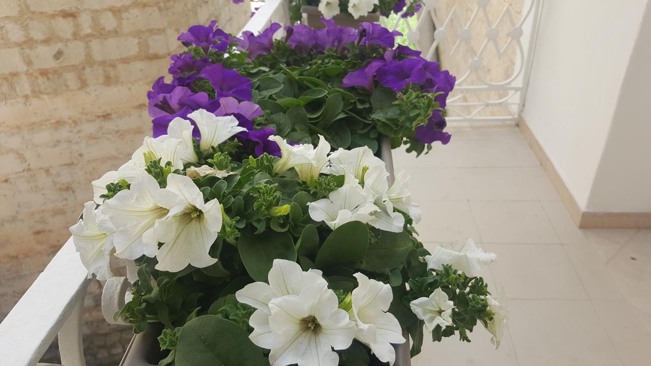 Matera Guest House المظهر الخارجي الصورة